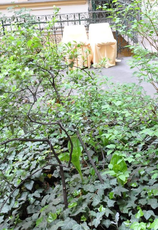 Apartament Terrace *